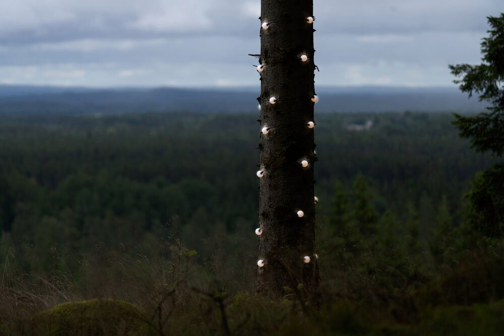 Startset 20 opal lampor, LED