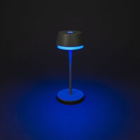 Lyon bordslampa usb Grön/grå