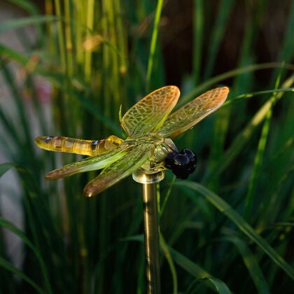 4 Dragonfly Solar Lights
