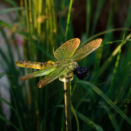 4 Dragonfly Solar Lights