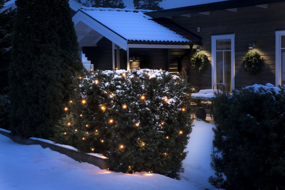 64 LED Net Light 2x2m