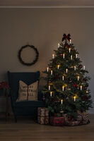 Julgransbelysning 25 LED inne