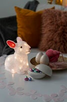 Acrylic Rabbit 22cm 24 LED