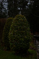 Slinga candy kluster 600 