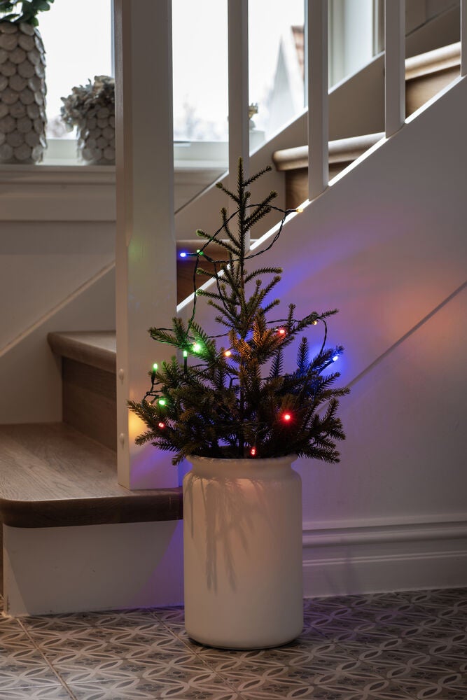 30 Light Set LED w.white B/O