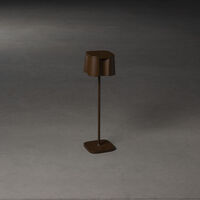 Nice bordslampa rost USB