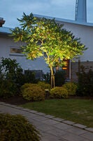 Amalfi high power LEDspot IP44