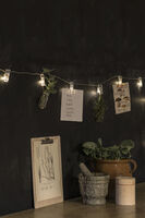 LED Lichterkette mit Clips