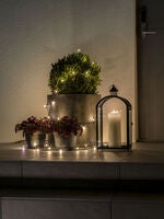 50 Warm White LED Frosted