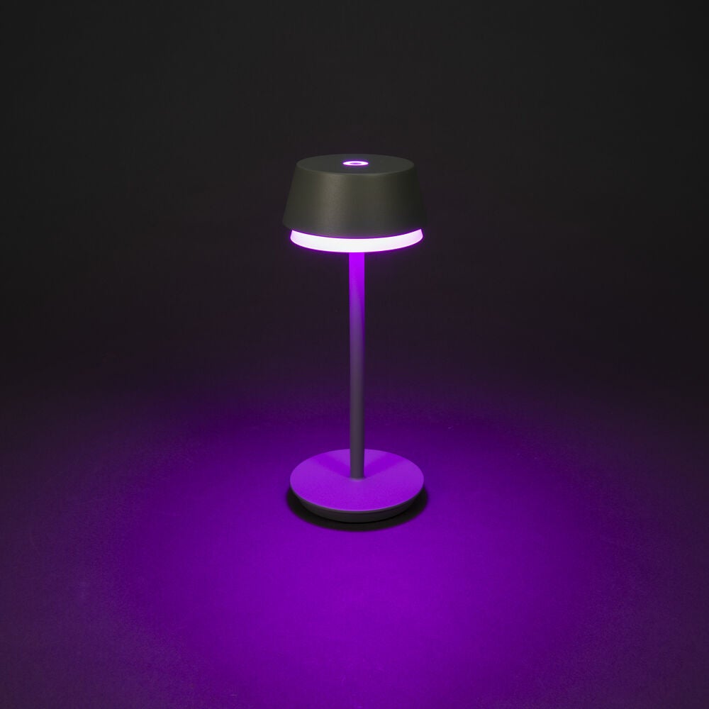 Lyon bordslampa usb Grön/grå