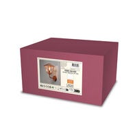 Fenix Wandleuchte aufw kupfer