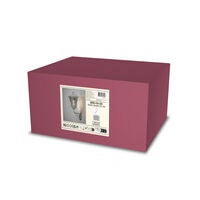 Benu Wall Light up galvanized