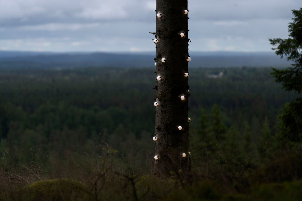 Tilläggsset 20 opal lampor LED