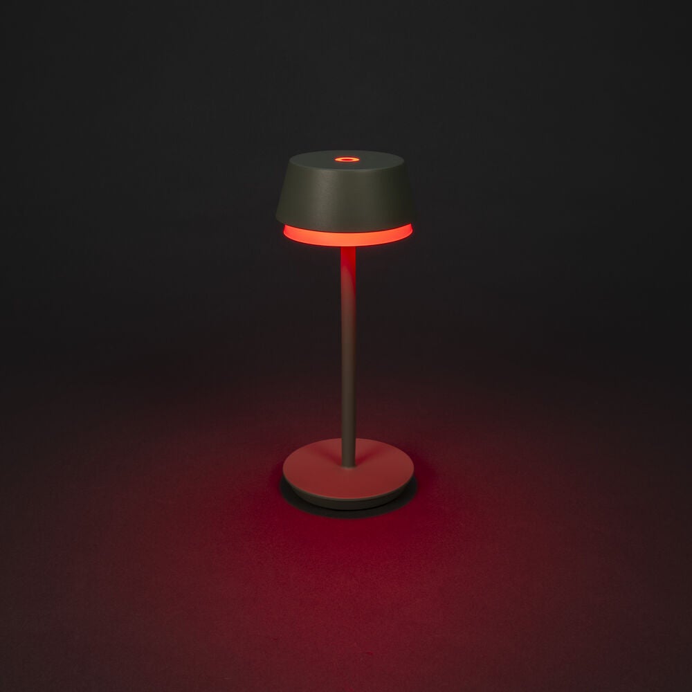 Lyon bordslampa usb Grön/grå