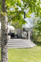 Rechargeable single bulb