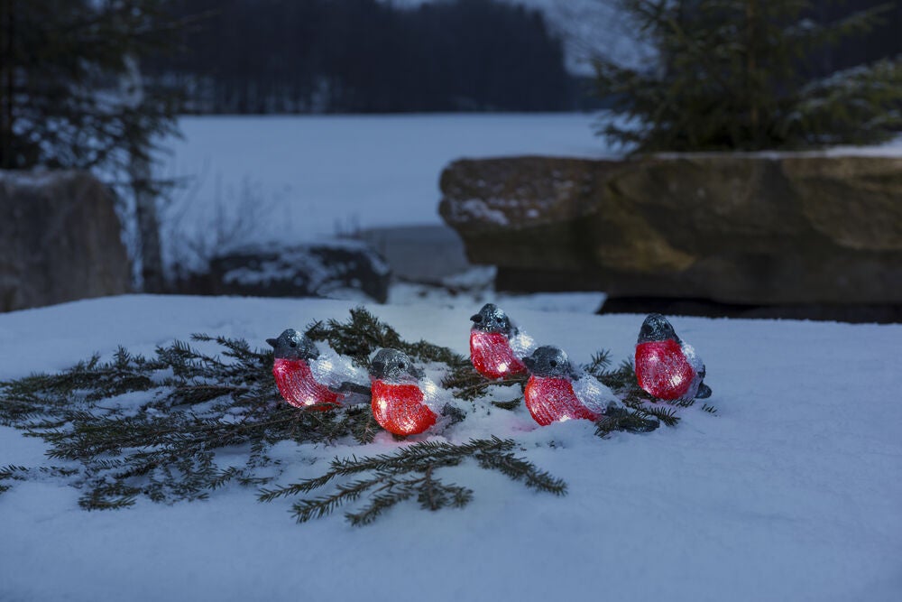 Domherrar akryl 5st LED