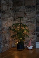 B/O Slinga 10 amber LED