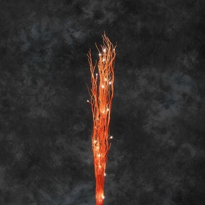 Wooden twigs Orange 100cm