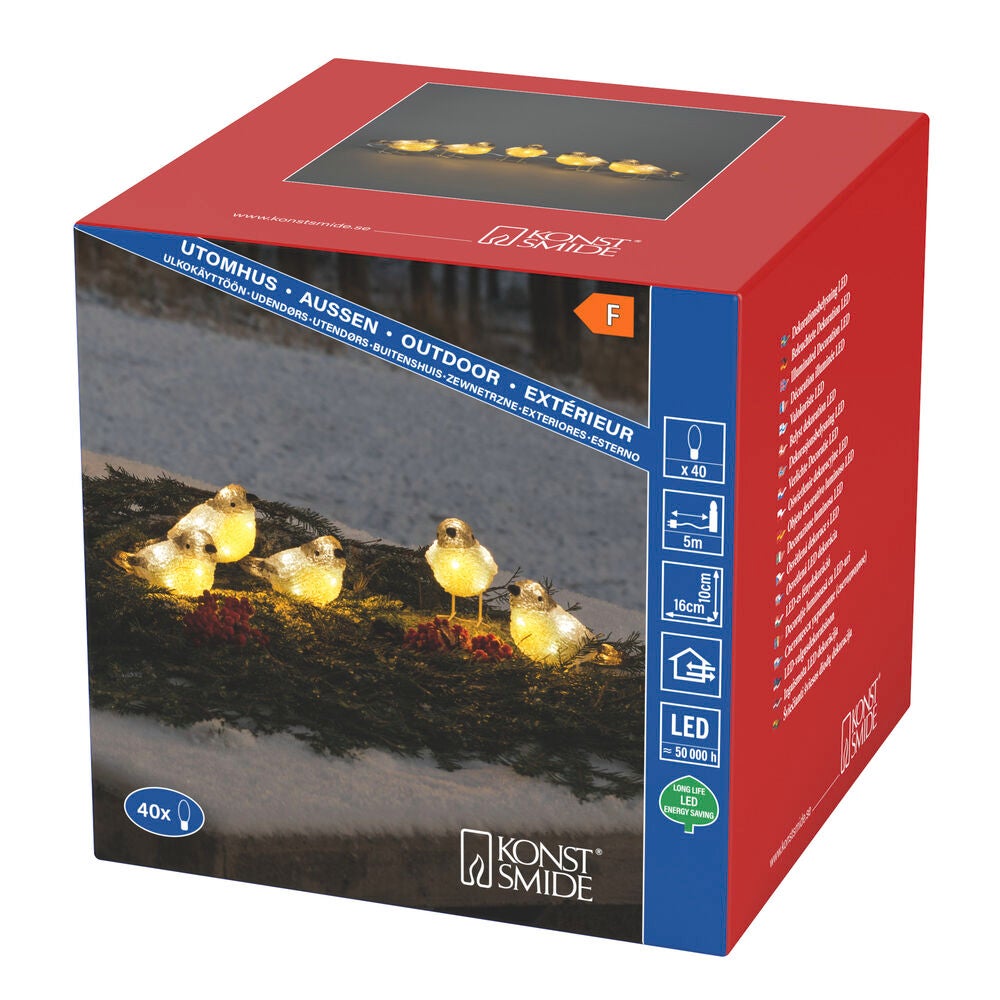 LED Acryl Voegel, 5er Set, 5x8