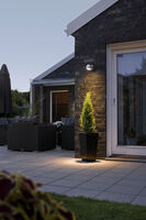 Monza Light High Power LED