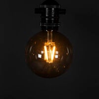 Add-on 10L brown smoky bulbs