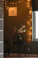 Slinga 50 LED frostad