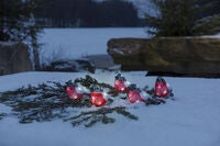 Domherrar akryl 5st LED