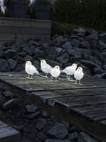 Fåglar 5st akryl vita LED