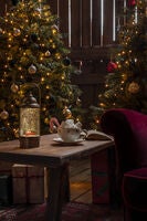 Wasserlaterne m.Weihnachtsbae,