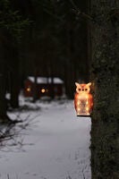 Uggla i akryl, LED, ute