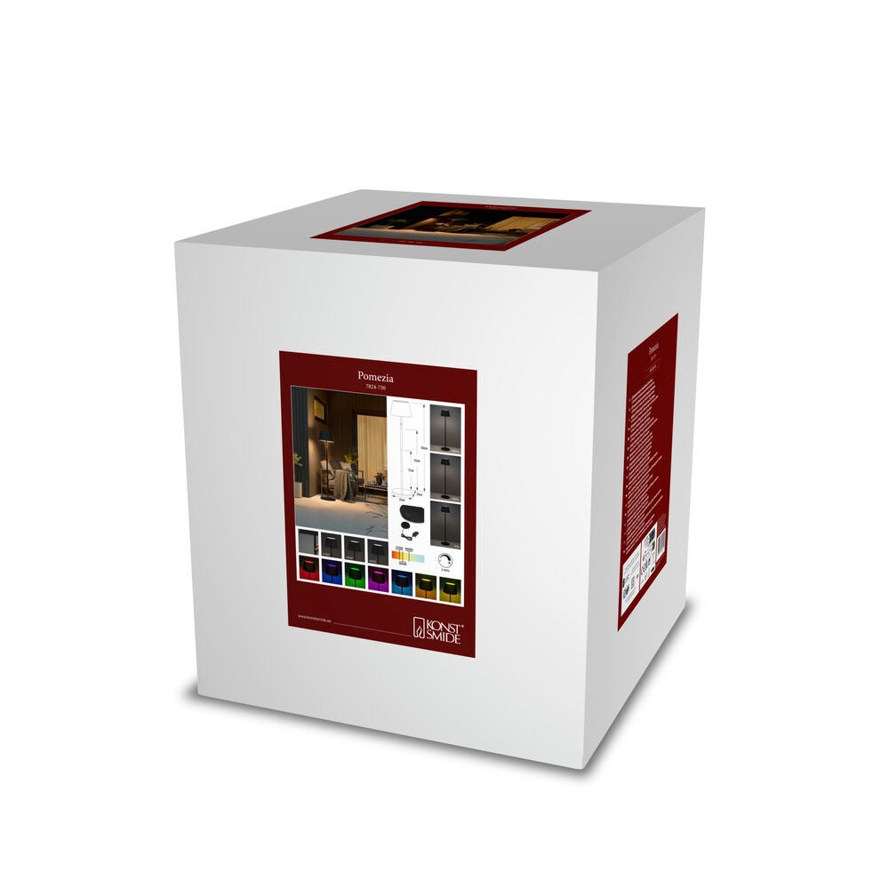 Pomezia floor lamp usb black