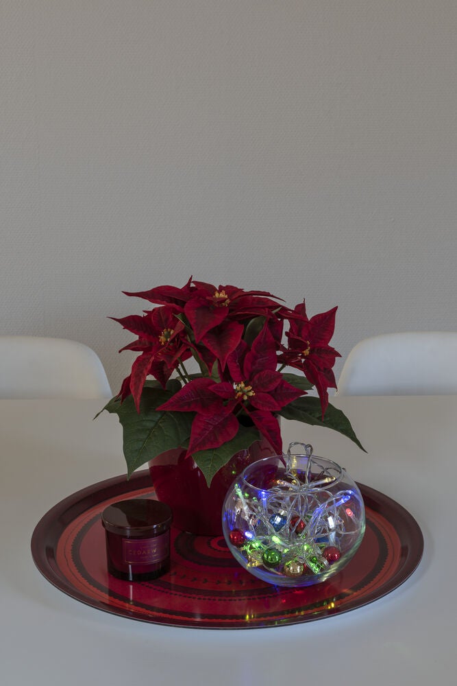 20 Light Set LED w.white B/O