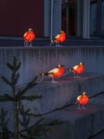 Domherrar akryl 5st LED