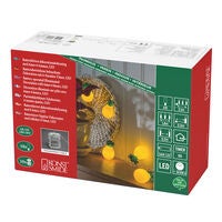 B/O Lightset 10 pineapples LED