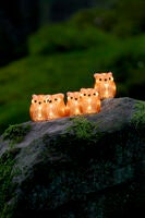 Akryl ugglefamilj 5/set 40LED