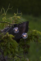 LED Biergartenkette, runde 