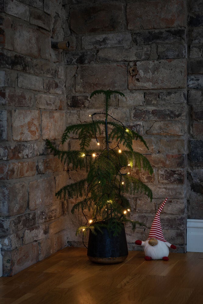 Light Set 50 Multi Colour LED