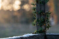 Batterie Girlande, 60 LED