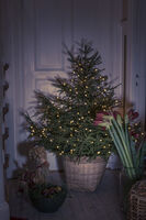 LED Baummantel f. Weih