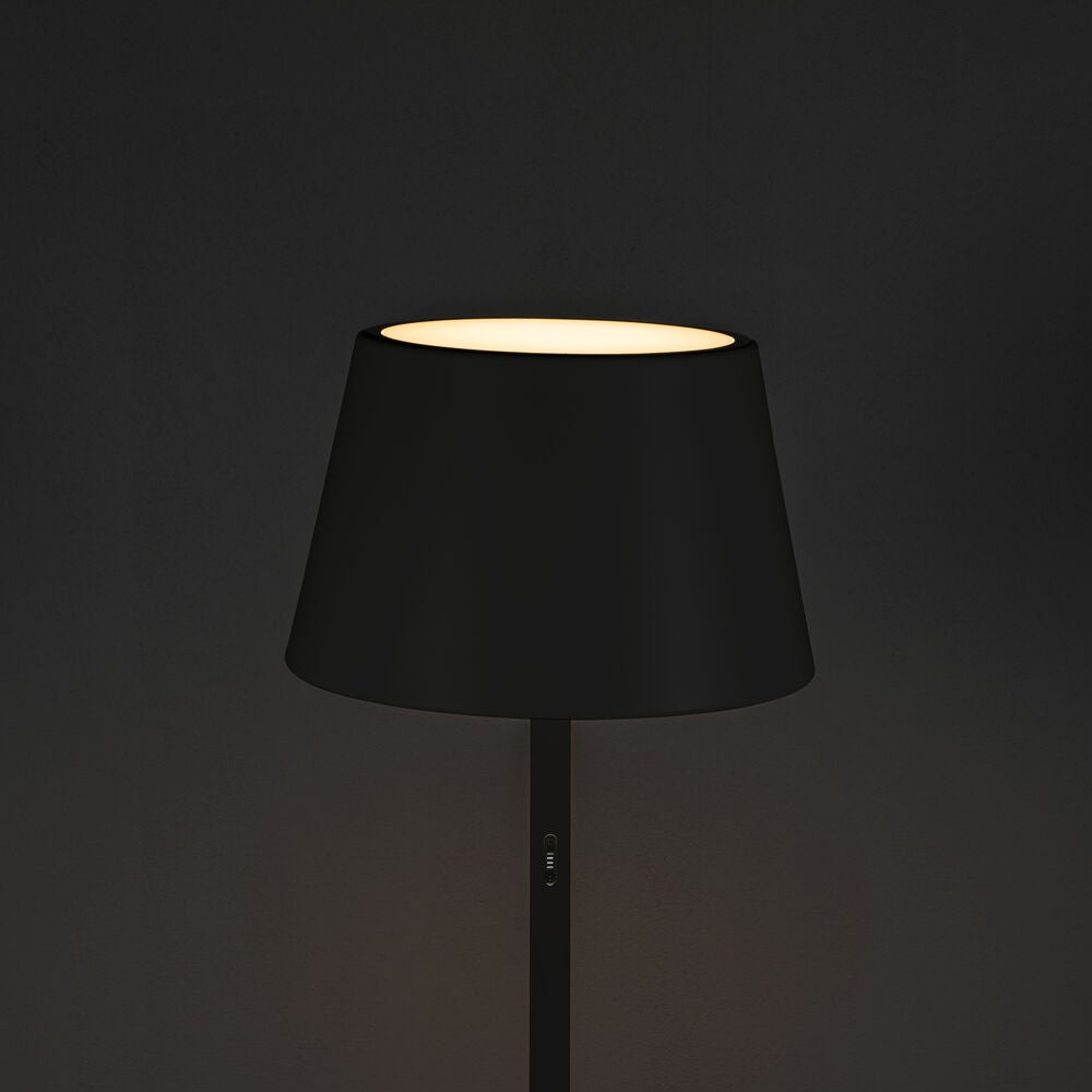 Pomezia floor lamp usb black