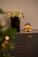 B/O mini Pepparkakshus LED