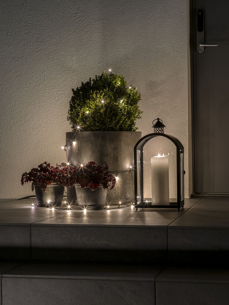 50 Warm White LED Frosted