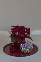 B/O Slinga 10 amber LED