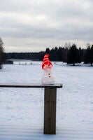 Snögubbe akryl 32cm 32 Led