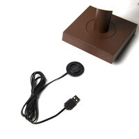 Monaco bordslampa rost USB