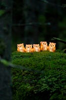 Akryl ugglefamilj 5/set 40LED