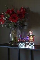 LED Szenerie Zug, B/O