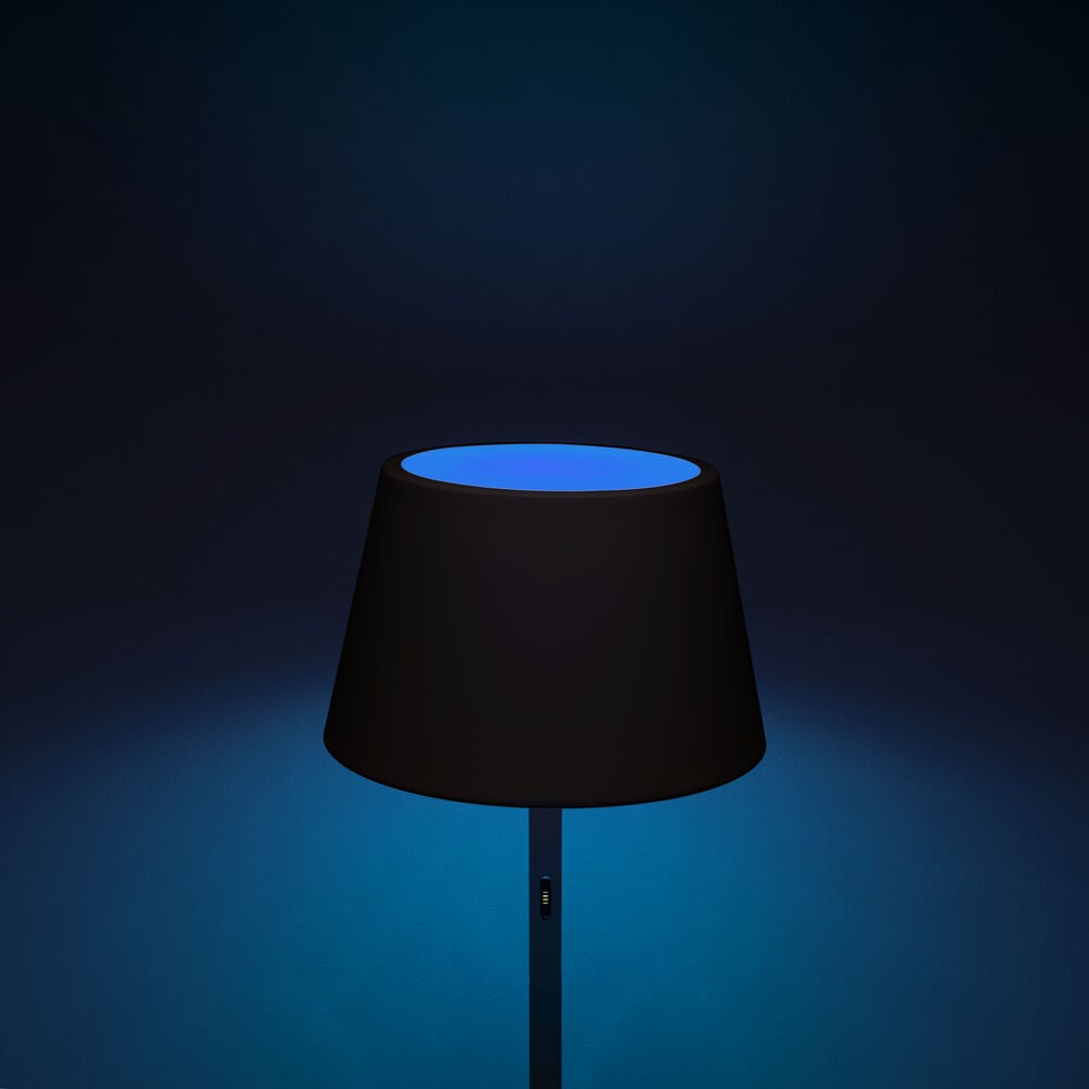 Pomezia floor lamp usb black