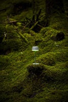 Lyon bordslampa usb Grön/grå