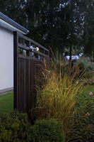 Monza Light High Power LED